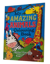 Load image into Gallery viewer, Children&#39;s Colouring Book
