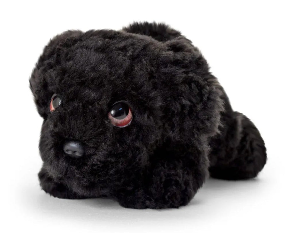 Puppy Cuddly Toy
