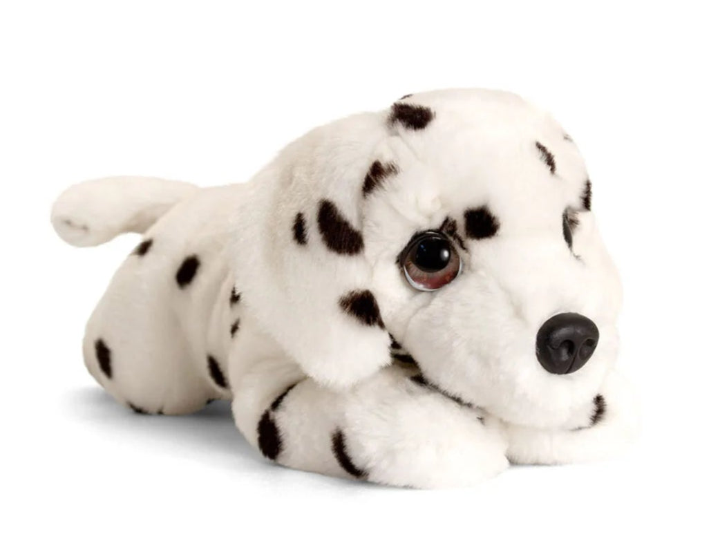Puppy Cuddly Toy