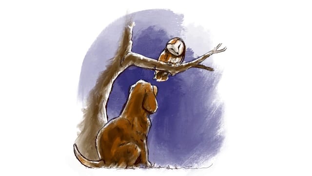 Fudge's Evening Adventure Book