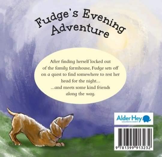 Fudge's Evening Adventure Book