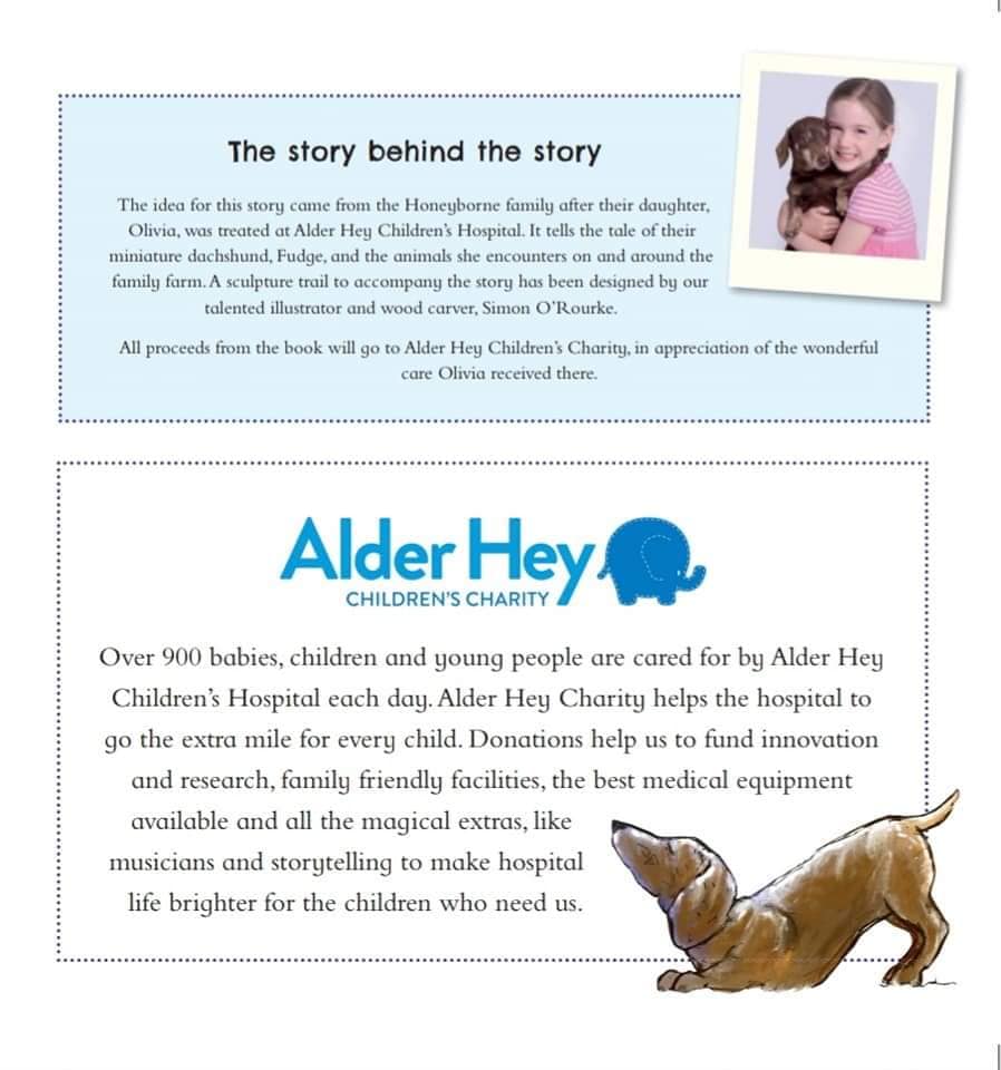 Fudge's Evening Adventure Book