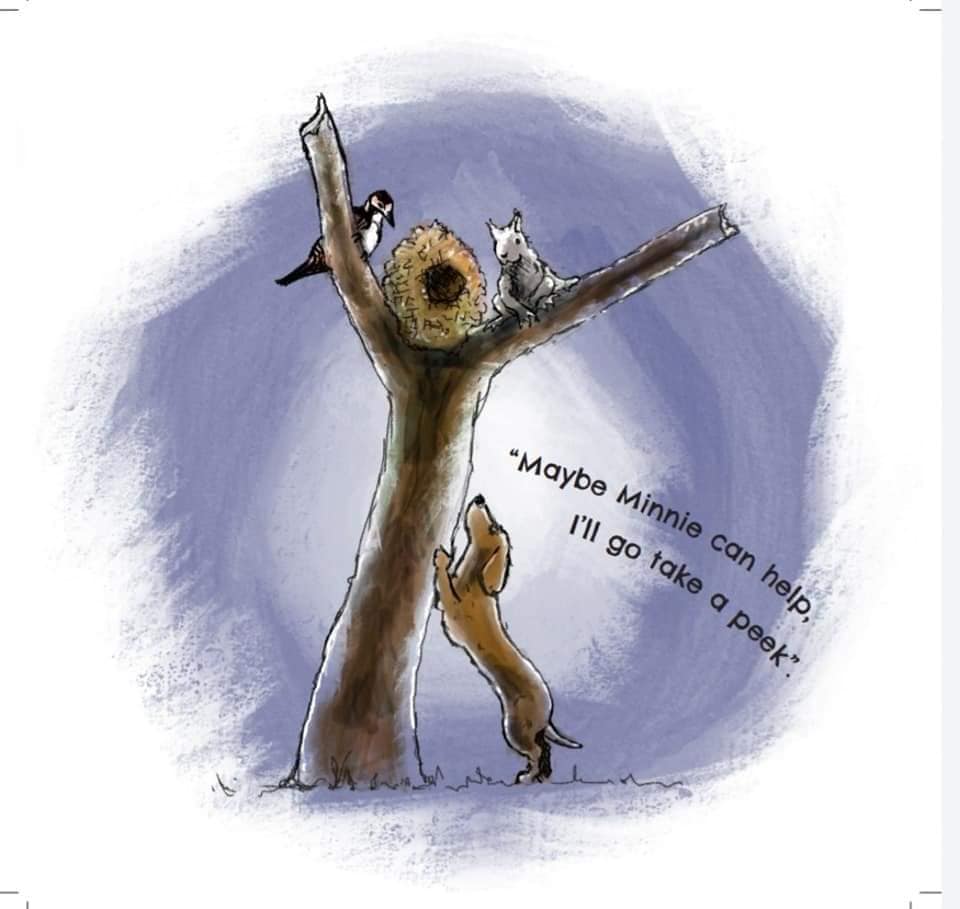 Fudge's Evening Adventure Book