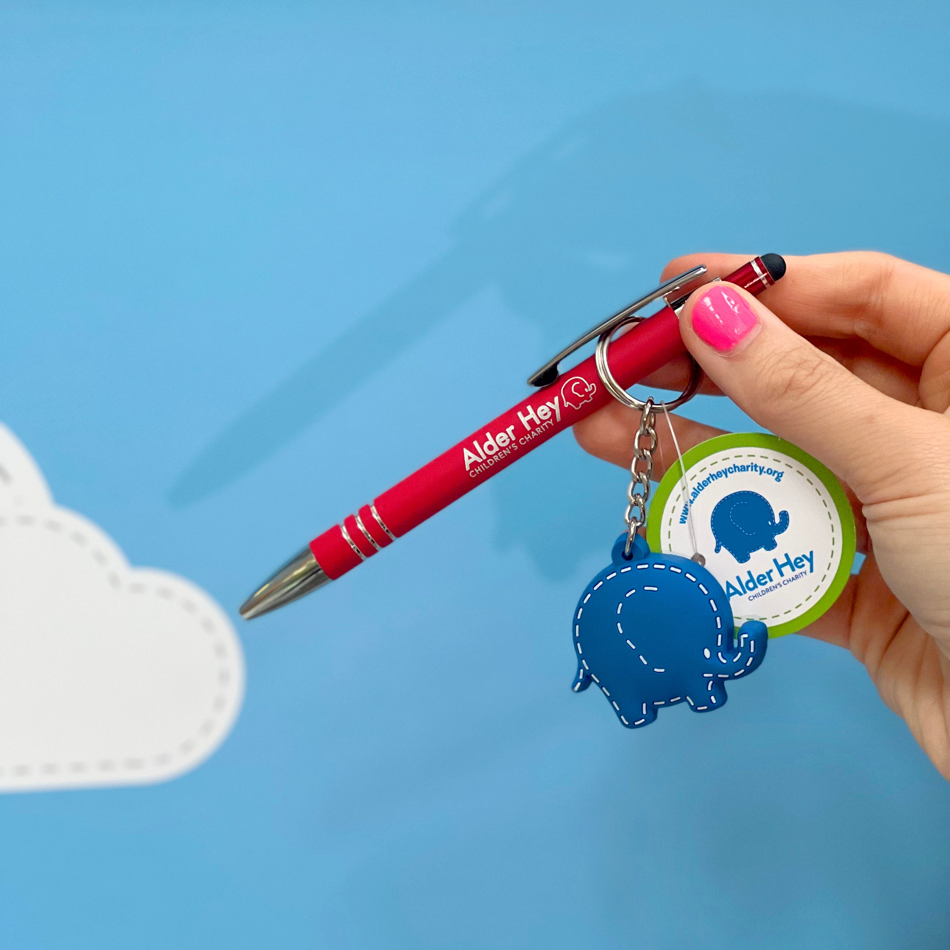 Oli Bundle 3 (Pen and Blue keyring)