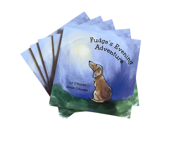 Fudge's Evening Adventure Book