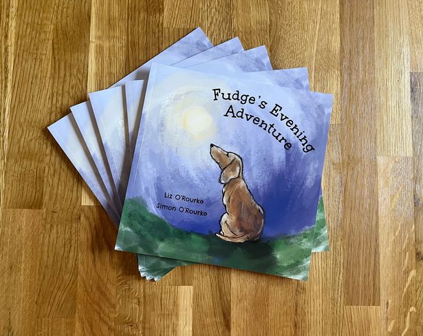 Fudge's Evening Adventure Book