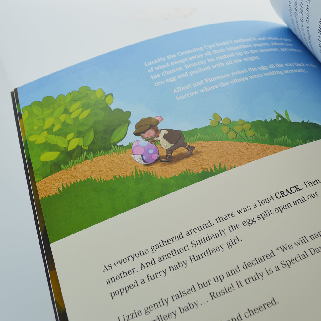 The Hardleeys of Alder Hey: Story Book